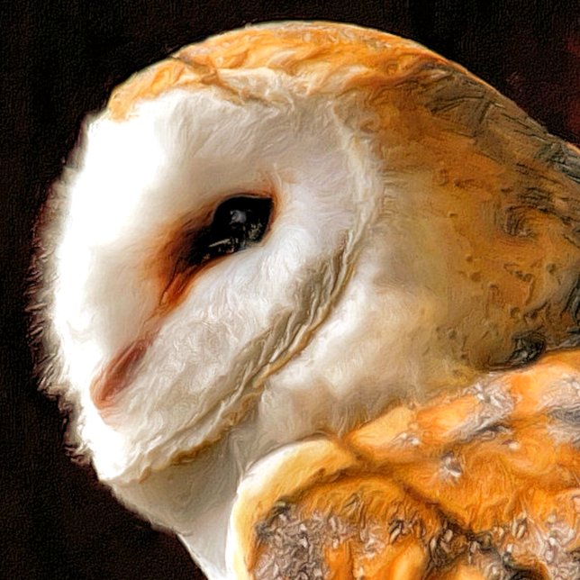 PAPEL DE REGALO OWLS (A beautiful soft focus watercolour of a Barn Owl.)