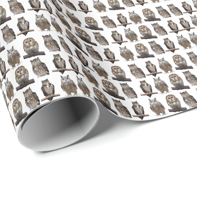 Papel De Regalo Owls (Esquina del rollo)