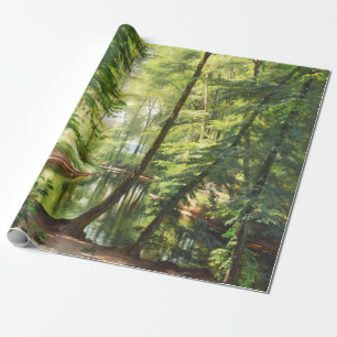 Papel De Regalo Paintaje paisajístico de Aagaard Forest Stream