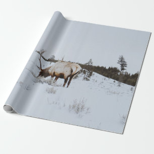 PAPEL DE REGALO PAISAJE DE INVIERNO CON CERVEZA