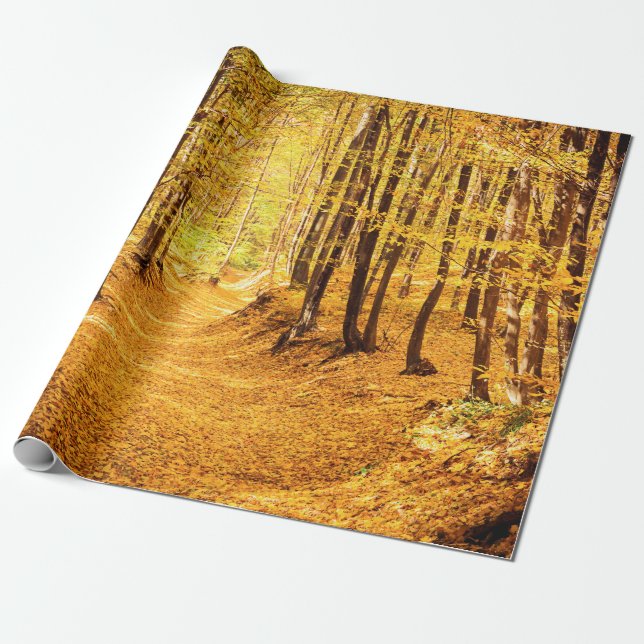 Papel De Regalo Paisaje forestal del otoño (Desenrollado)
