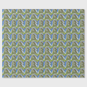 Papel De Regalo Pájaros azules de pato blanco, animal, pájaro