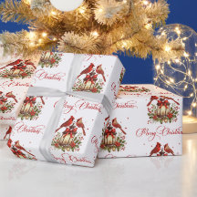 Pájaros cardenales en linterna de Navidad en acuar