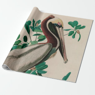 Papel De Regalo Pájaros pelícanos marrones de América Impresió