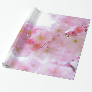 Papel De Regalo Palidezca - las flores de cerezo rosadas