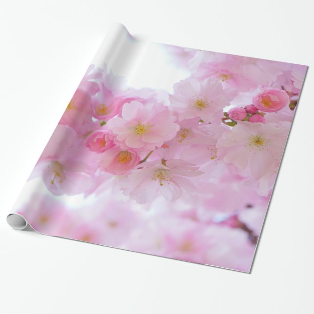 Papel De Regalo Palidezca - las flores de cerezo rosadas (Desenrollado)