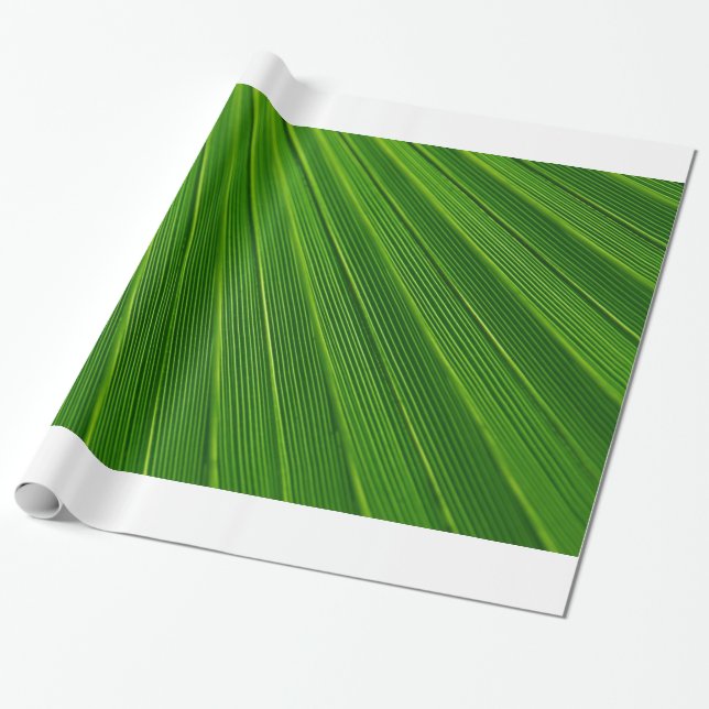 Papel De Regalo Palm Leaf (Desenrollado)