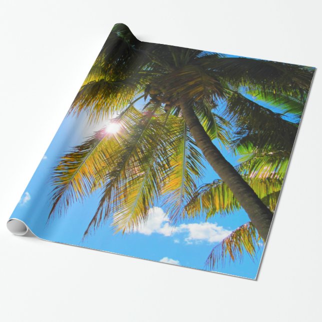 Papel De Regalo Palm Paradise Blue Sky Sunshine (Desenrollado)