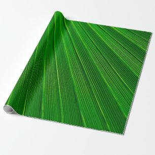 Papel De Regalo Palma verde de fondo vegetal de hoja