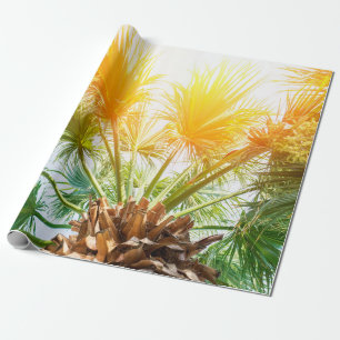 Papel De Regalo Palmera de palmera brillante fondo de verano. p tr