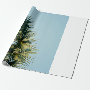 Papel De Regalo Palmera de ventilador bajo cielo azul