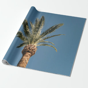 Papel De Regalo Palmera verde bajo cielo azul por la mañana