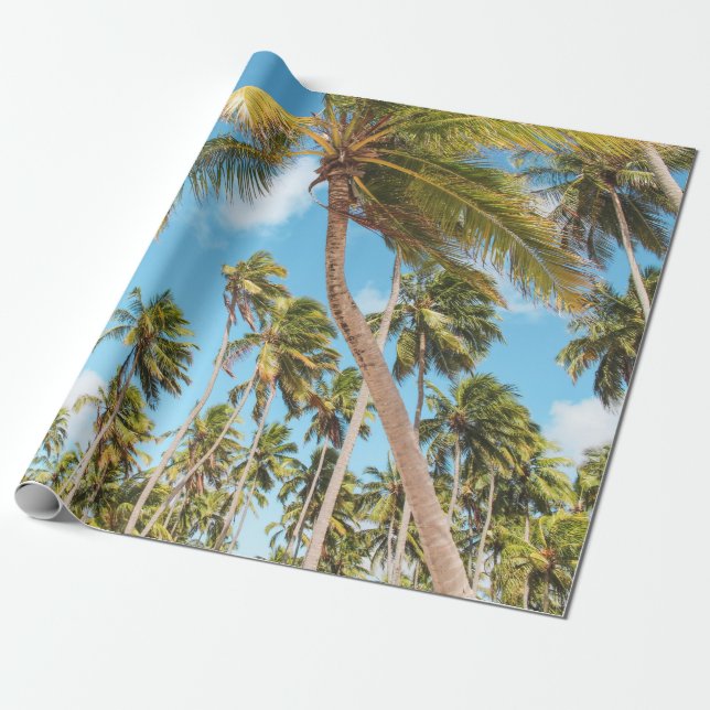 Papel De Regalo Palmeras (Desenrollado)