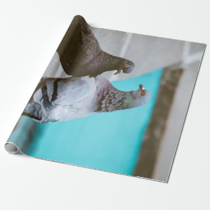 Papel De Regalo Palomas