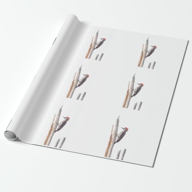 Papel De Regalo Panceta dorada (Desenrollado)