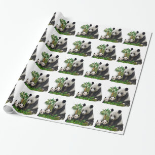 Papel De Regalo Panda Bears