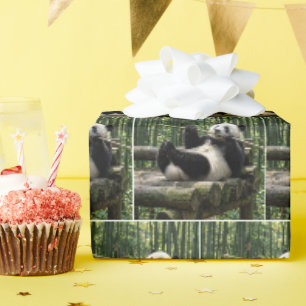 Papel De Regalo Panda en una plataforma de troncos