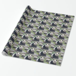 Papel De Regalo Panda Gigante amistoso