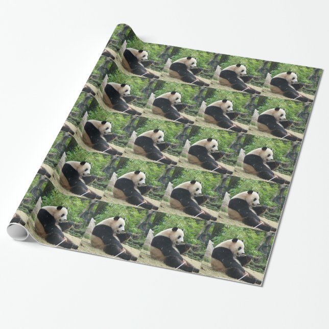Papel De Regalo Panda gigante comiendo bambú. (Desenrollado)