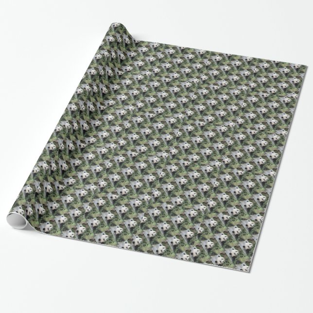 Papel De Regalo Pandas pequeños y pequeños, verdes (Desenrollado)