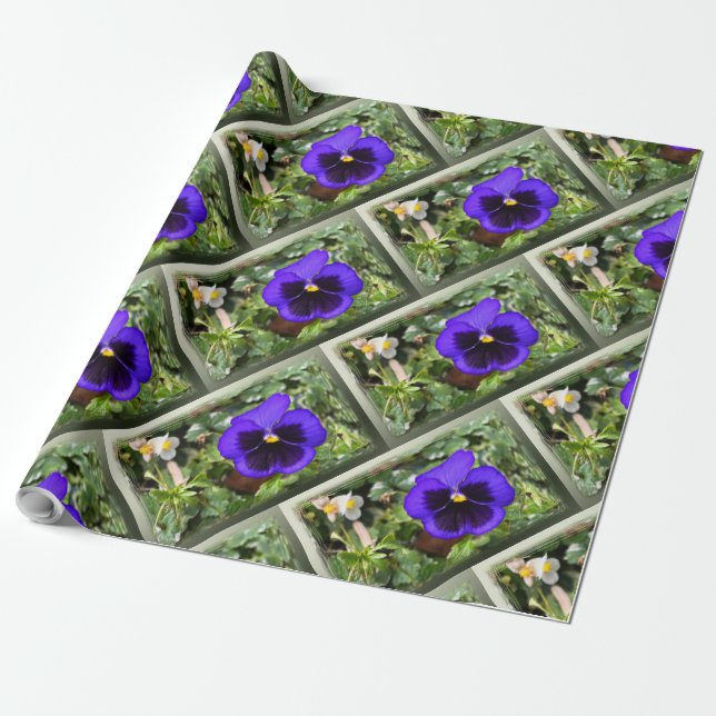 Papel De Regalo Pañuelo morado (Desenrollado)
