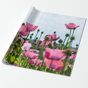 Papel De Regalo Papas rosadas