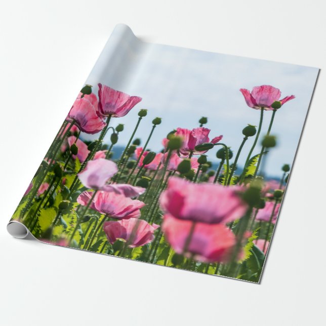 Papel De Regalo Papas rosadas (Desenrollado)