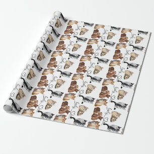 Papel De Regalo paquete de gatos, paquete de gatos divertidos