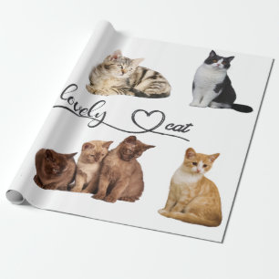 Papel De Regalo paquete de gatos, paquete de gatos divertidos
