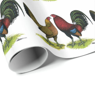 Papel De Regalo Par de gafas