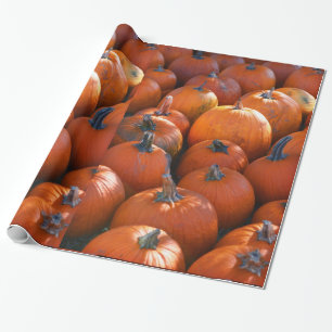 Papel De Regalo Parche de calabaza de Acción de Gracias