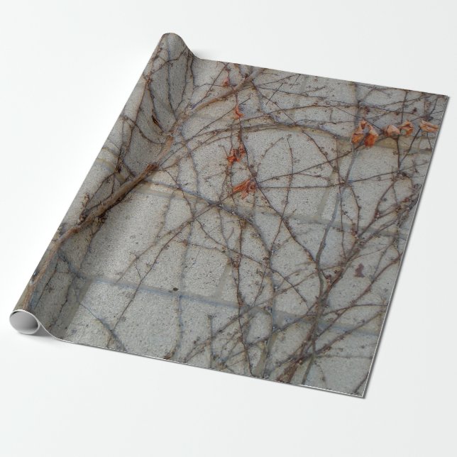 Papel De Regalo Pared De Bloque De Hormigón Con Viñetas (Desenrollado)