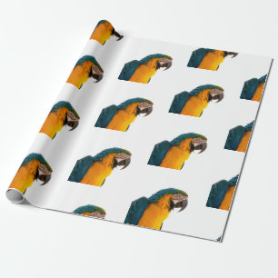 Papel De Regalo Paro