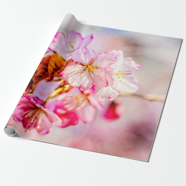 Papel De Regalo Paro Llamativo De Flores De Sakura Rosa (Desenrollado)