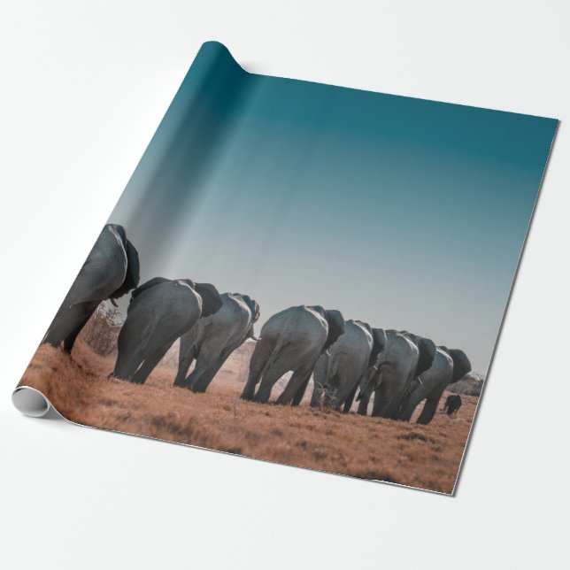 PAPEL DE REGALO PARQUE NACIONAL DE ETOSHA (Desenrollado)