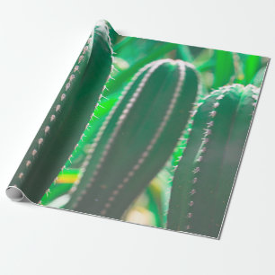 Papel De Regalo Pastel Cactus verde hojas pastel