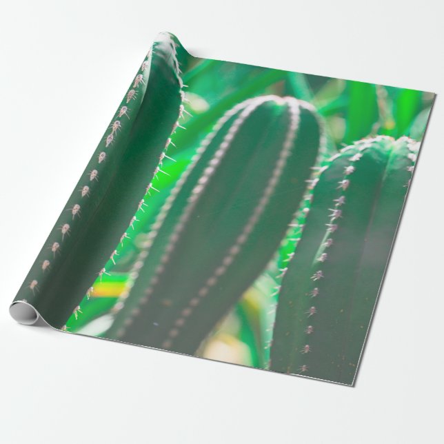 Papel De Regalo Pastel Cactus verde hojas pastel (Desenrollado)