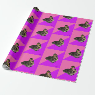 Papel De Regalo Patitos sobre sorbete de frambuesa rosa y púrpura