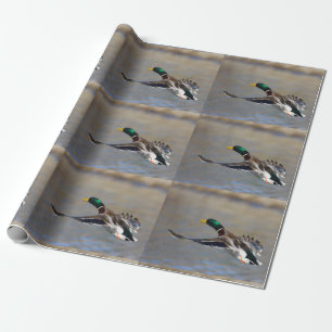 Papel De Regalo pato en vuelo