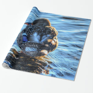 Papel De Regalo Pato Mallard en río Invierno - Foto de vida silves