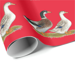 Papel De Regalo Patos: patio plateado