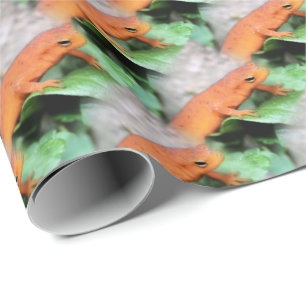 Papel De Regalo Patrón animal del salamandra del Naranja de Eft R