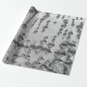 Papel De Regalo patrón de corteza de abedul