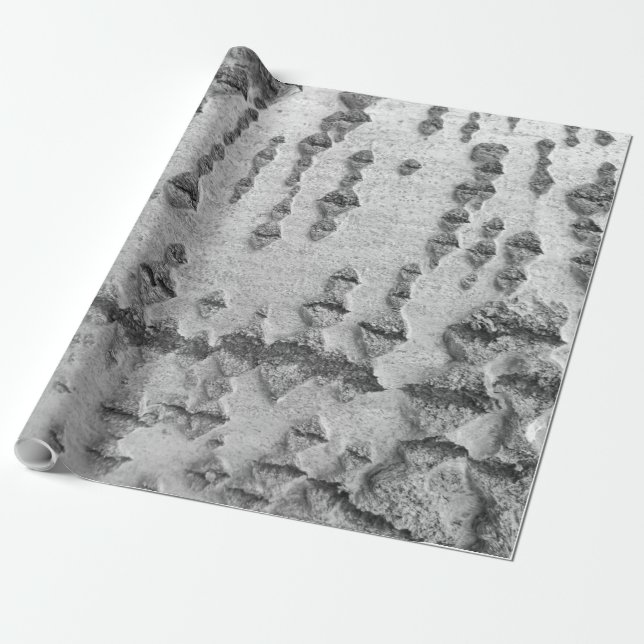 Papel De Regalo patrón de corteza de abedul (Desenrollado)