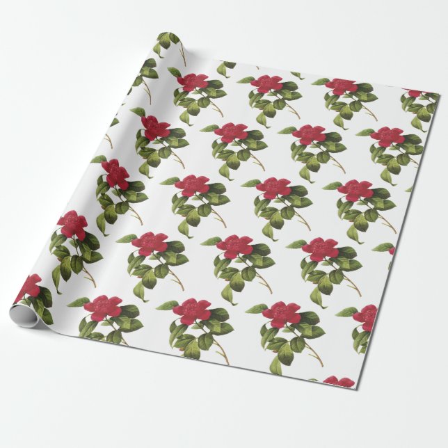 Papel De Regalo Patrón de Flor de Camelia (Desenrollado)