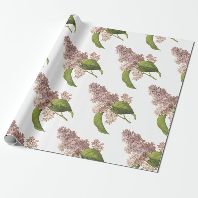 Papel De Regalo Patrón de flor de Lilac (Desenrollado)