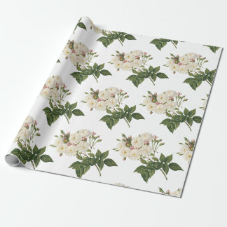 Papel De Regalo Patrón de flor de Rosa
