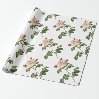 Papel De Regalo Patrón de flor de Rosa