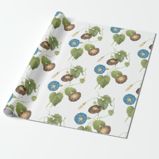 Papel De Regalo Patrón de flores de gloria de la mañana