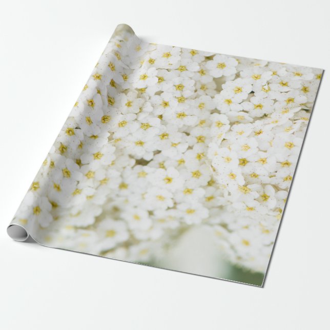 Papel De Regalo Patrón de flores pequeñas blancas (Desenrollado)